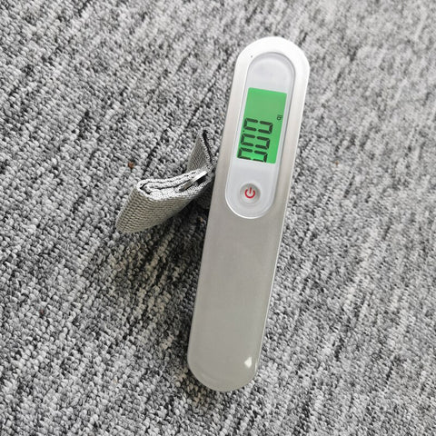 50kg/10g Portable Electronic With Backlight Weight Balance Hanging Scale